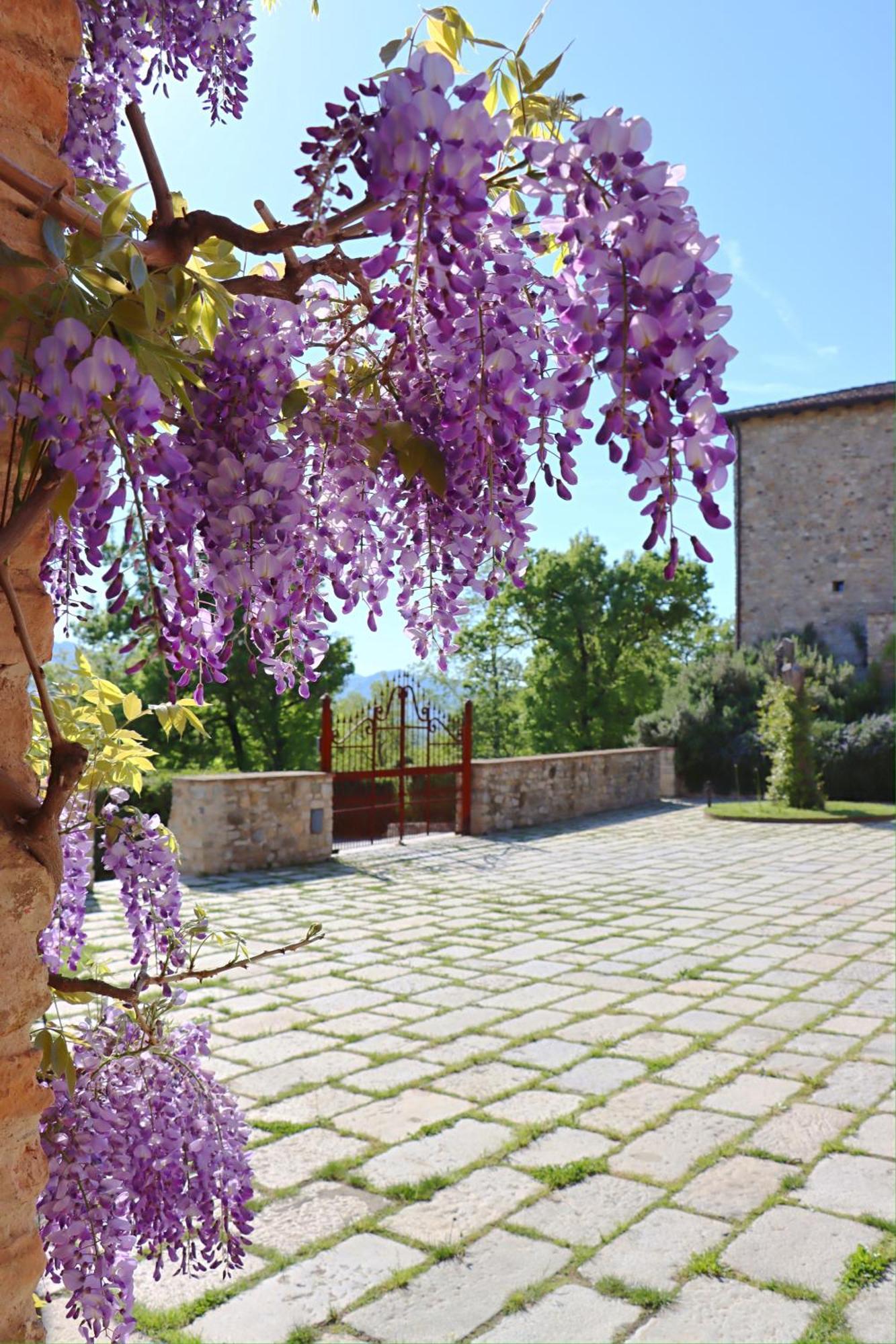 Castello Di Viano Villa Exterior photo