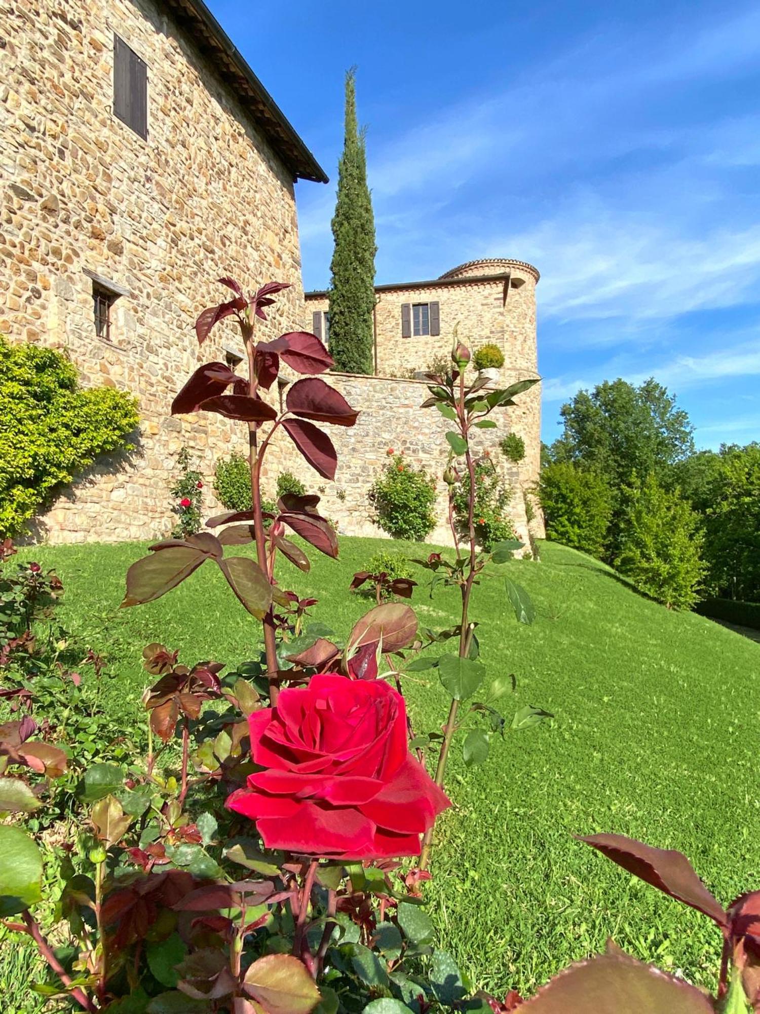Castello Di Viano Villa Exterior photo